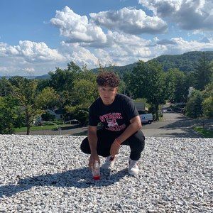 Meet your Posher, Hector